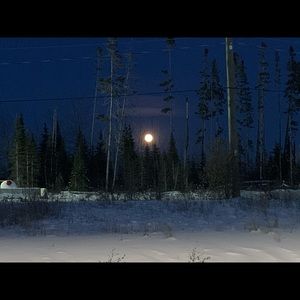 Meet your Posher, Riley